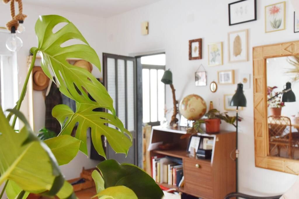 Bamboo House Aljezur公寓 外观 照片