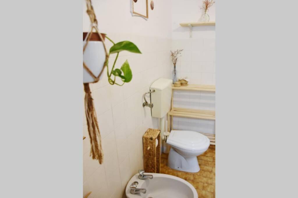 Bamboo House Aljezur公寓 外观 照片