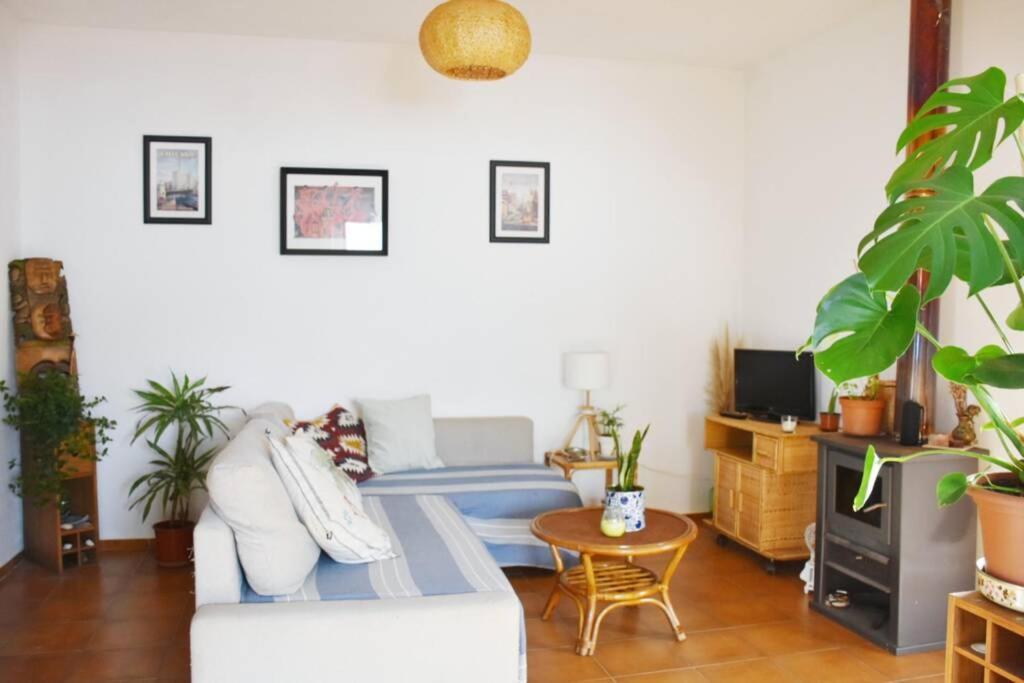 Bamboo House Aljezur公寓 外观 照片