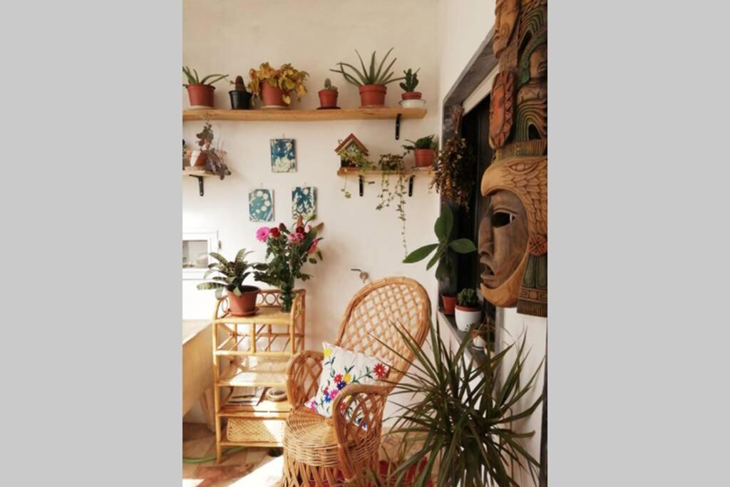 Bamboo House Aljezur公寓 外观 照片