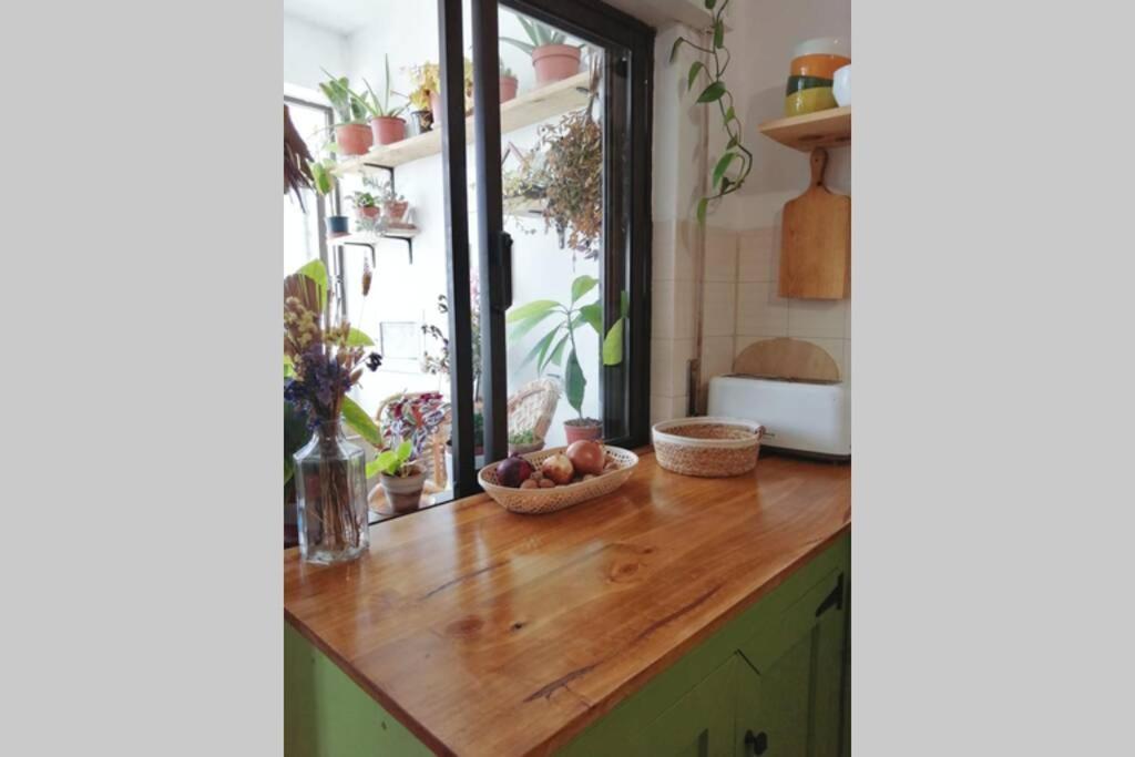 Bamboo House Aljezur公寓 外观 照片